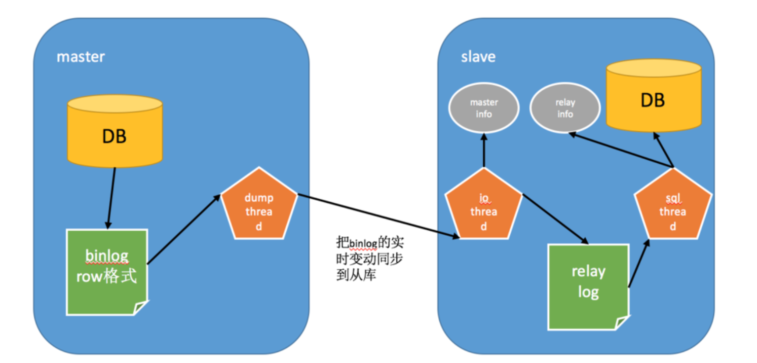 docker-compose-mysql-dogslee